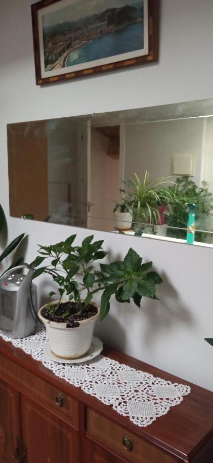 Atico Apartment La Guardia Екстериор снимка
